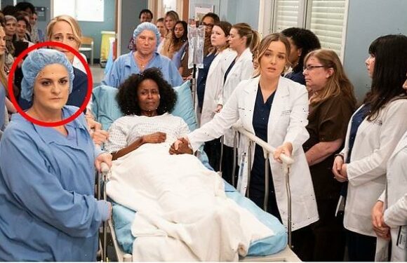Grey's Anatomy liar Elisabeth Finch CONFESSES