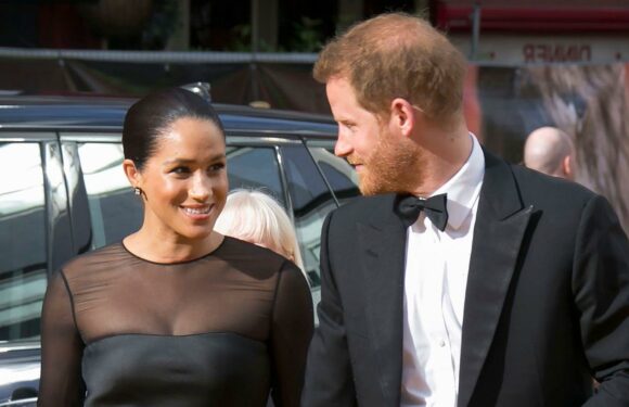 Harry Saw Meghan for the 1st Time in Dog Snapchat Filter: Read Their Texts!