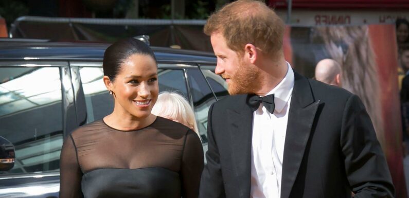 Harry Saw Meghan for the 1st Time in Dog Snapchat Filter: Read Their Texts!
