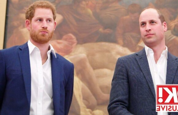 Harry’s inclusion of Diana interview in documentary ‘pointedly hurtful to William’, says royal expert