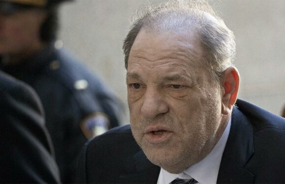 Harvey Weinstein’s Abnormal Testicles Are Key Focus of Final Arguments in Trial