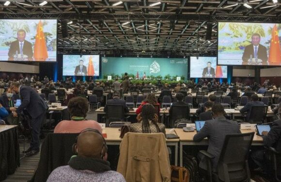 Historic agreement reached at UN conference to protect lands and oceans
