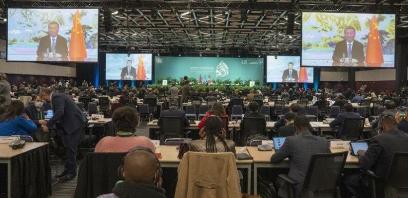 Historic agreement reached at UN conference to protect lands and oceans