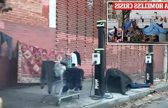 Homeless camps surround LA's expensive EV charging stations (video)