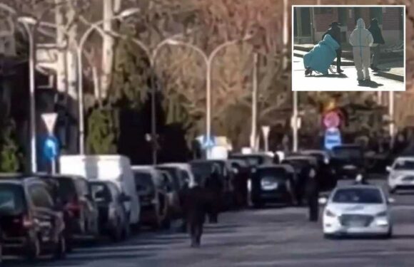 Horror vid shows snaking 20 DAY-long line of hearses at crematorium as ‘thermonuclear’ Covid outbreak ravages China | The Sun