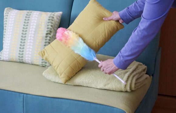 How do I stop dust from collecting on surfaces straight after I’ve cleaned? – The Sun | The Sun