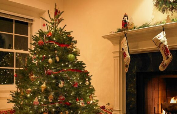 How to create a ‘stylish not scrambled’ Christmas aesthetic for your home
