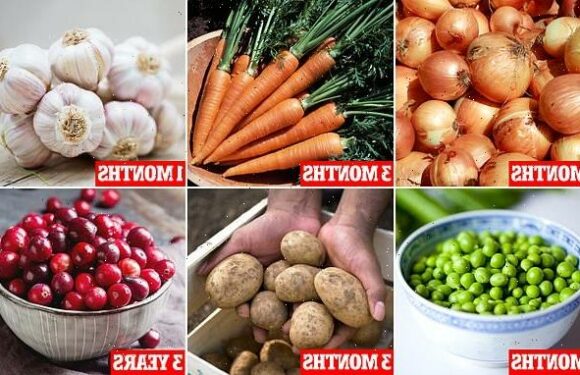How to grow a Christmas dinner in your GARDEN (apart from the meat)