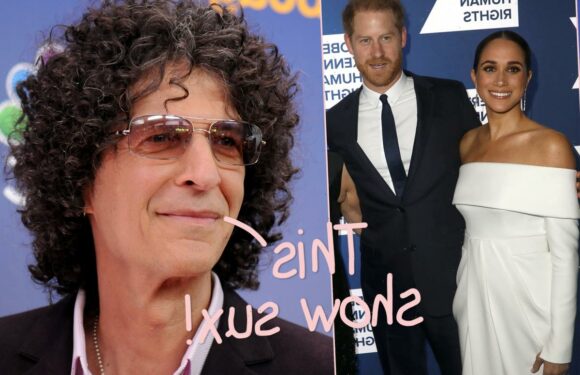 Howard Stern Calls Out Prince Harry & Meghan Markle As 'Whiny Bitches' After Watching Netflix Show!