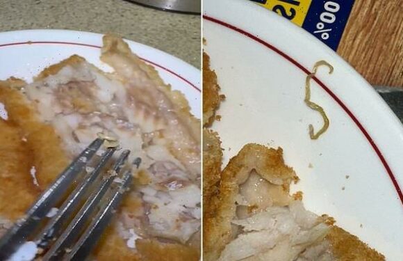 I 'pulled out a worm' from my daughter's fish fingers