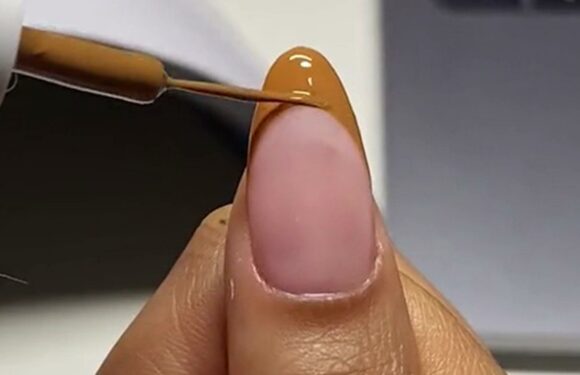 I attempted to paint gingerbread nail art on myself in time for the festive season – here’s how it went | The Sun