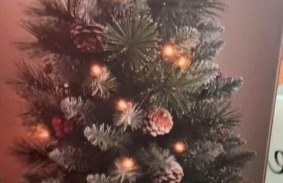 I bought a Christmas tree from B&M but it did me so dirty – it looks absolutely nothing like the picture | The Sun