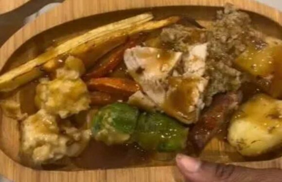 I can make Christmas dinner for just £20 using budget buys from Aldi, here’s how to be more savvy like me | The Sun