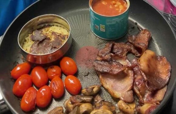 I cook my entire breakfast in one pan to save on washing up and heating – but people aren’t convinced by my methods | The Sun