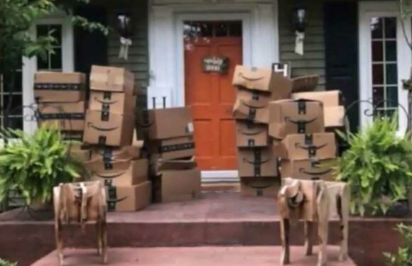 I got 150 Amazon boxes on my doorstep by mistake – they said I could keep them | The Sun