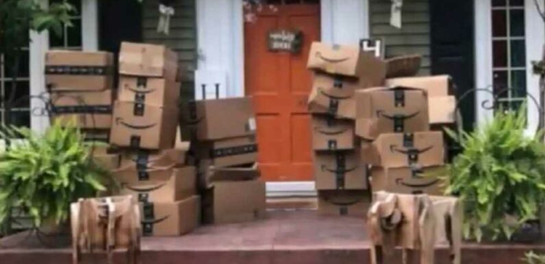 I got 150 Amazon boxes on my doorstep by mistake – they said I could keep them | The Sun