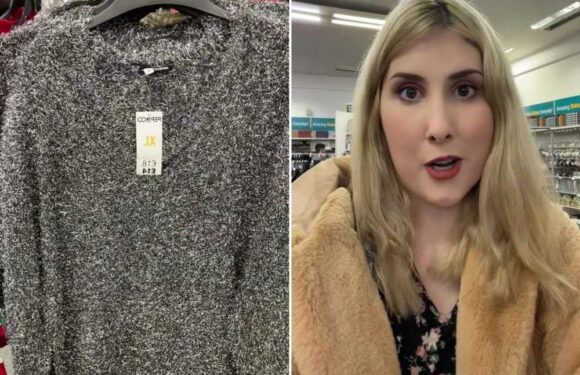 I hit Poundland to snap up some cheap Christmas clothes but was so disappointed – one jumper looks like a scouring pad | The Sun