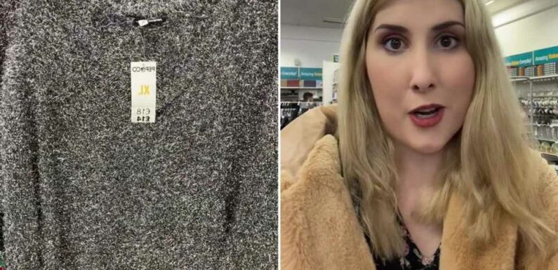 I hit Poundland to snap up some cheap Christmas clothes but was so disappointed – one jumper looks like a scouring pad | The Sun