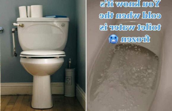 I only have to go into my friend's bathroom to see if it’s really cold outside – the clue is in the loo | The Sun