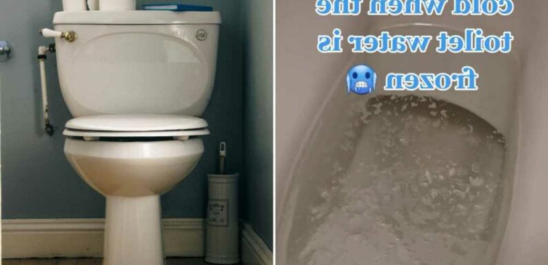 I only have to go into my friend's bathroom to see if it’s really cold outside – the clue is in the loo | The Sun