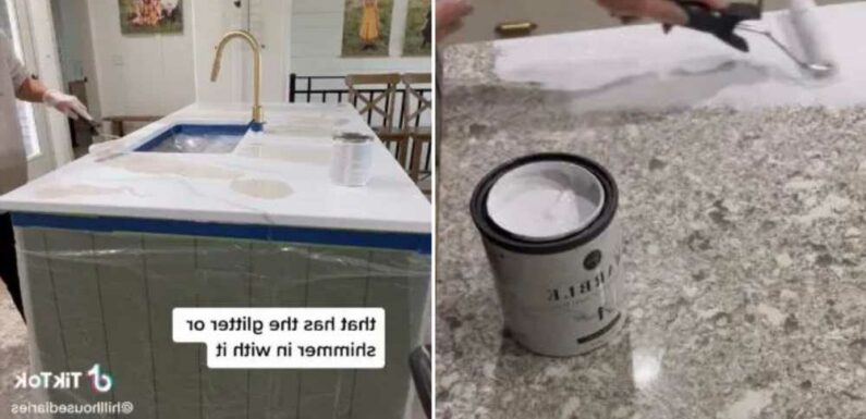I painted my granite countertops because they were too 'busy' for my liking but people are saying it should be illegal | The Sun