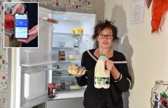 I survive on just PANCAKES every day and have £16 to live on each month – I could be made homeless | The Sun