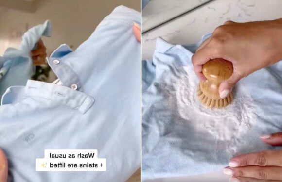 I’m a cleaning whizz and can remove ANY grim stains from clothes with just two household ingredients | The Sun