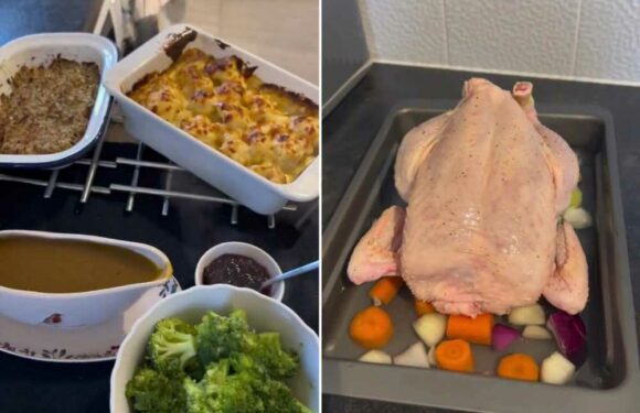 I’m a foodie and bought everything for my Christmas roast in M&S for a fiver – including dessert | The Sun