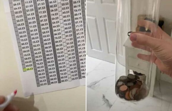 I’m a mum & set to save more than £600 thanks to a easy ‘1p challenge’ – you don’t even notice you’re missing the cash | The Sun