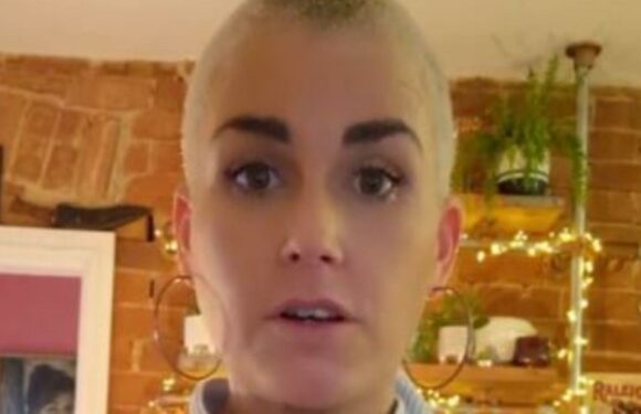 I’m the Queen of thrifting and I got loads of my Christmas dinner for £2.10 in Aldi, here’s how | The Sun