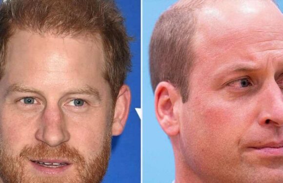 Inside William and Harry's 'Conflict' After Doc Exposes 'Dirty Laundry'