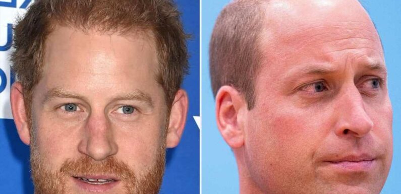 Inside William and Harry's 'Conflict' After Doc Exposes 'Dirty Laundry'