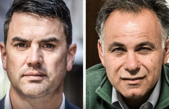 It’s Battin v Pesutto as field narrows in Liberal leadership stakes