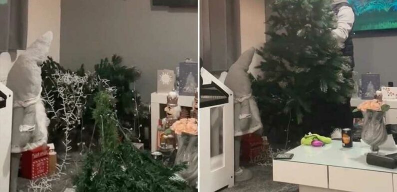 It's not even Christmas Day yet but I've already taken my tree down – people say it's far too early but I don't care | The Sun