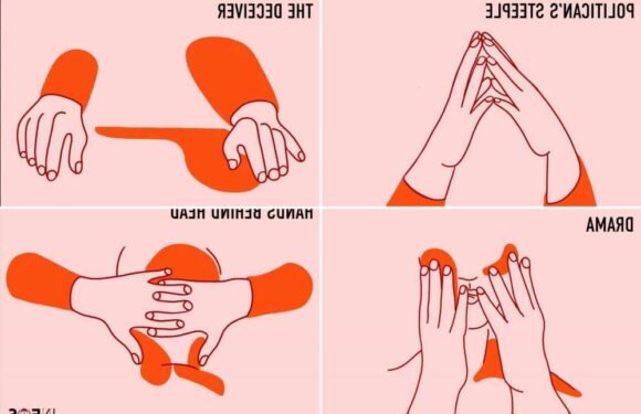 I'm a body language expert – what common hand gestures REALLY mean & how to spot a liar in seconds | The Sun
