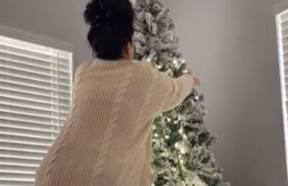 I'm a busy mom, my Christmas tree hack makes hanging lights so simple and even easier to remove them after the holidays | The Sun