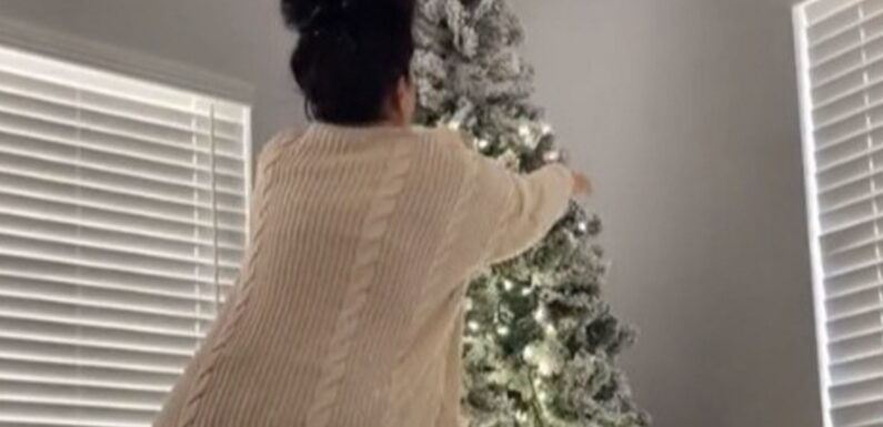 I'm a busy mom, my Christmas tree hack makes hanging lights so simple and even easier to remove them after the holidays | The Sun