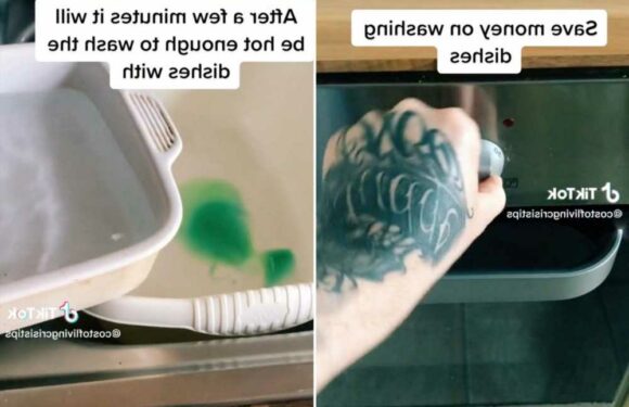 I'm a money saving fanatic – here's how to do washing up without turning on the hot tap | The Sun