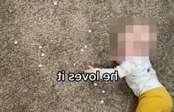 I'm a mum and sometimes feed my baby like a chicken… I just chuck all the snacks on the floor because it’s easier | The Sun