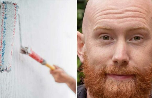 I'm a painter – seven ways to transform your home from £20, including tiles trick and carpets | The Sun