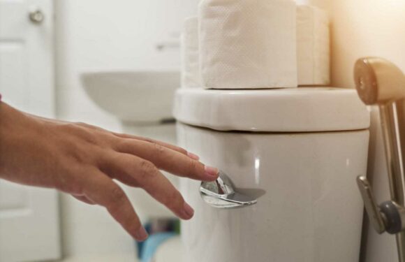 I'm an engineer – you've been flushing your toilet all wrong and these hacks could save you hundreds | The Sun