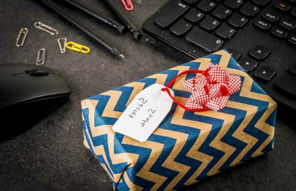 I've got my annoying co-worker for Secret Santa… I'm taking revenge & giving them a naff gift, I don't care if it's mean | The Sun