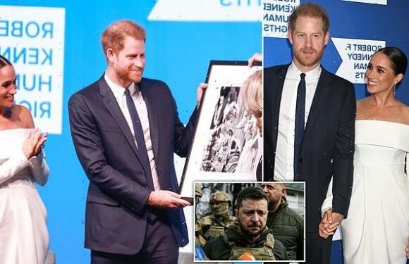 JAN MOIR: I wanted to watch Harry and Meghan's betrayal up close