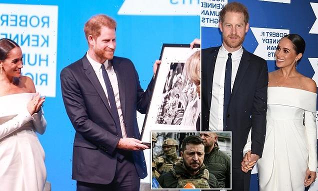 JAN MOIR: I wanted to watch Harry and Meghan's betrayal up close