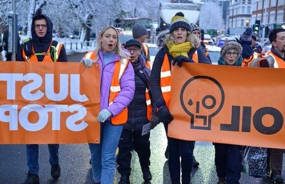 Just Stop Oil cause misery for drivers stuck in snow chaos with march