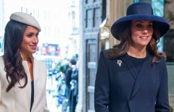 Kate & Meghan wore identical shoes on early engagement to show bond