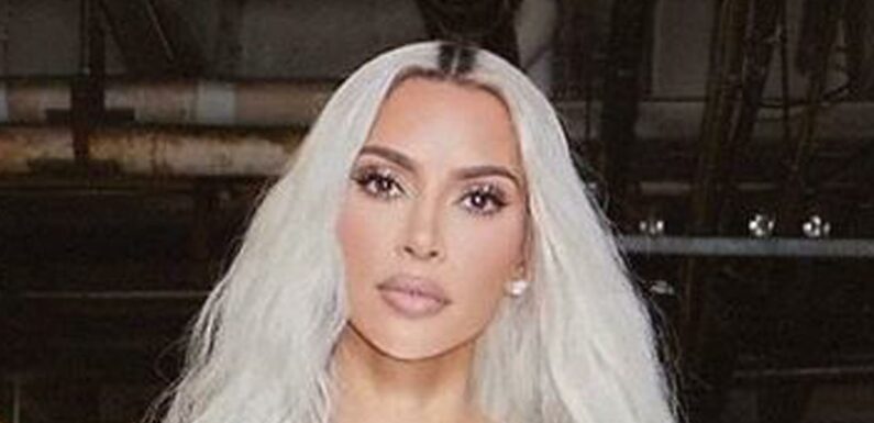 Kim Kardashian shows off thin neck in new pic with thinning Khloe as sisters continue to spark concern over weight loss | The Sun