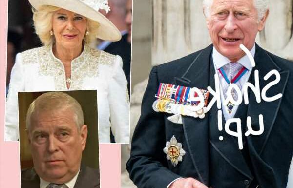 King Charles Gives Wife Camilla His Disgraced Brother Prince Andrew's Old Titles!