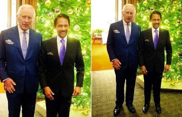 King Charles poses for snaps with Sultan of Brunei at Windsor Castle