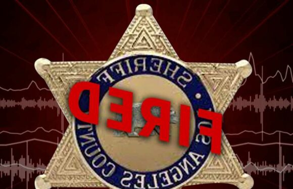 L.A. County Sheriff's Deputy Fired for Allegedly Having Sex at Universal